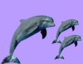 /album/%ce%b2%21/a20141114133402-10-png/